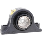 Lagar - Rayco [12395813]