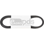 Curea - GRANIT [12420567]