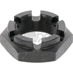 Piulita crenelata - GRANIT [1802200047]