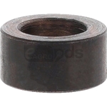 Bucsa - Roberine [18979926]