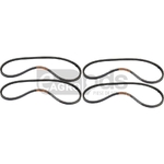 Curea - Stark [36207638]