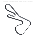 Curea transmisie - CNH Industrial [47649517]