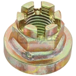 Piulita crenelata - GRANIT [56017 3030125]