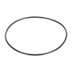 O-ring - CNH Industrial [5801524670]