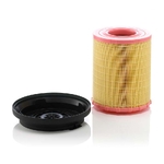 Filtru aer - MANN-FILTER - [C 29 010 KIT]