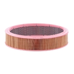 Filtru aer - MANN-FILTER [C 3576]
