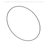 O-ring - CNH Industrial [14469180]