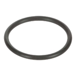 O-ring - CNH Industrial [17282690]