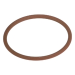 O-ring - CNH Industrial [17283181]