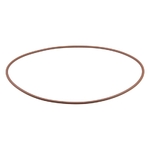 O-ring - CNH Industrial [17293681]