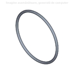 O-ring - CNH Industrial - [238-6137]