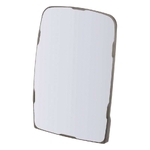 Oglinda - CNH Industrial [48025195]