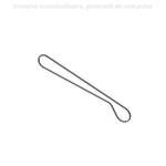 Curea trapezoidala - CNH Industrial [48032224]