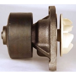 Pompa de apa Reman - CNH Industrial [4892175R]