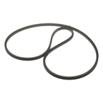 Curea - CNH Industrial [617910R1]