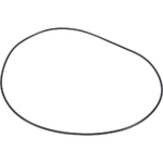 O-ring - CNH Industrial [84472119]