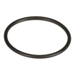 O-ring - CNH Industrial [85813351]