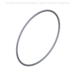 O-ring - CNH Industrial [86012300]