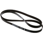 Curea vascofan - CNH Industrial [90416434]