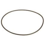 Garnitura - CNH Industrial [99455401]