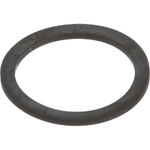 Garnitura - CNH Industrial [E9NN19N716BA]