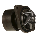 Pompa apa - reman - CNH Industrial - [J286278R]