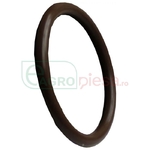 O-ring - 1,296x0,139in, -219, cl5, 75 Duro - CNH Industrial [353108]