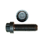 12PTSCREW - CNH Industrial [87016488]