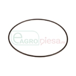 O-RING - CNH Industrial [87016956]