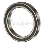 BALLBEARING - CNH Industrial [87748223]