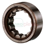 ROLLER BEARING - CNH Industrial [F1NN7Z000BA]